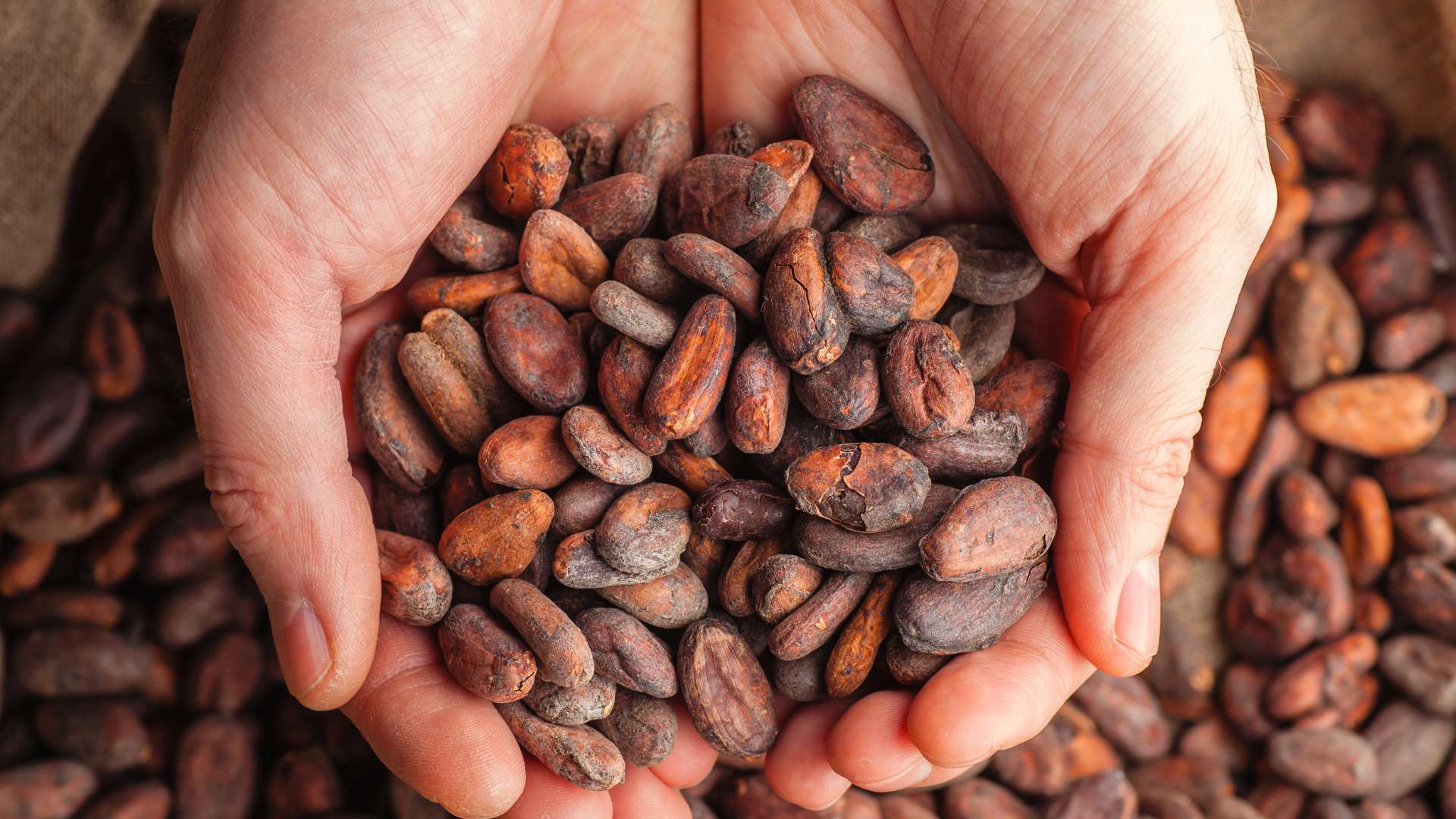 Cocoa